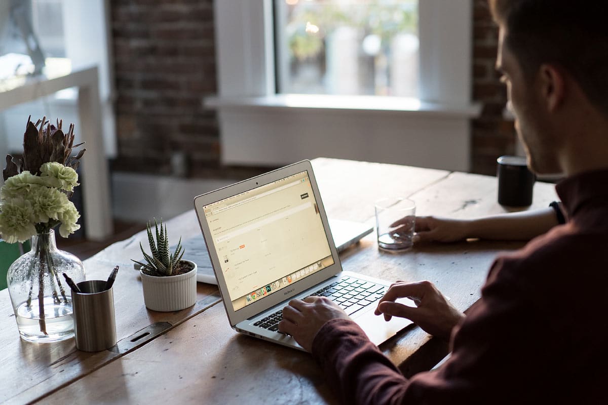 Modern workspace with a person working on a laptop, surrounded by plants and natural light.