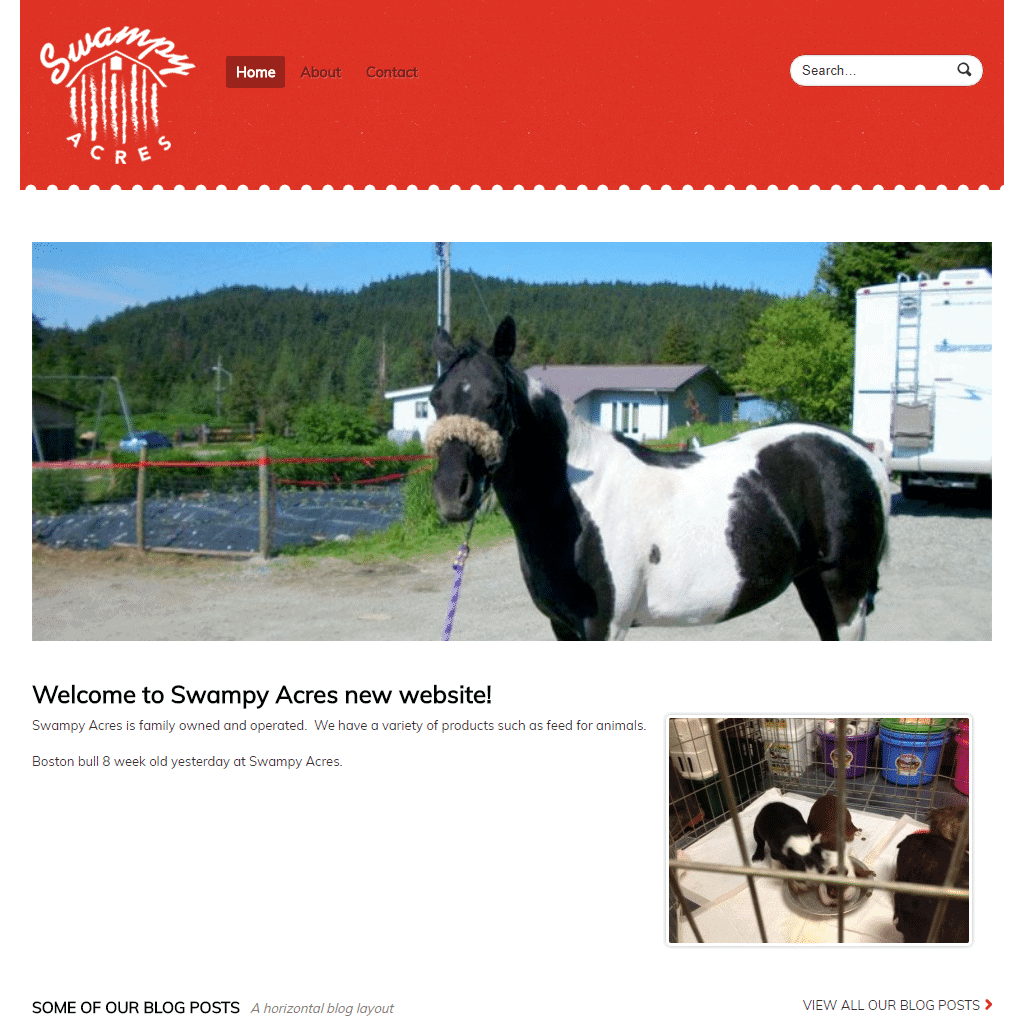 Pasture-raised farm animals and pets at Swampy Acres, family-owned farm in a rural setting.