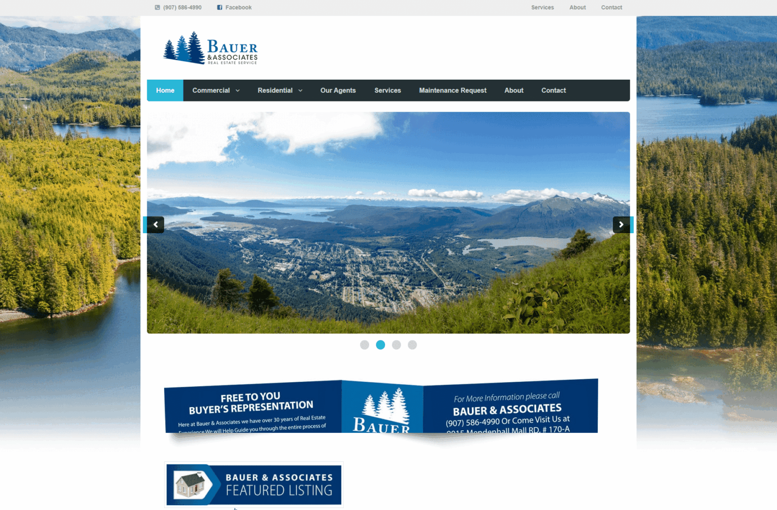 Bauer & Associates website