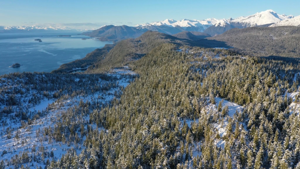 Snowy forested ridge with mountains across the water