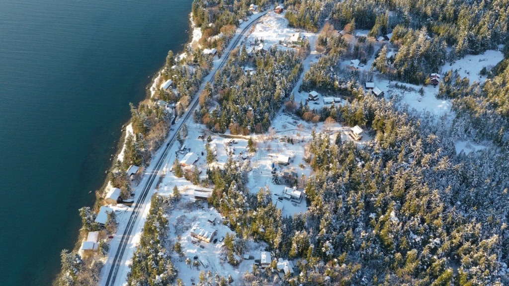 Snowy houses and forest along a waterfront