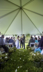 View down a grass aisle with white petals under a tent toward a bride and groom at the altar with guests seated.