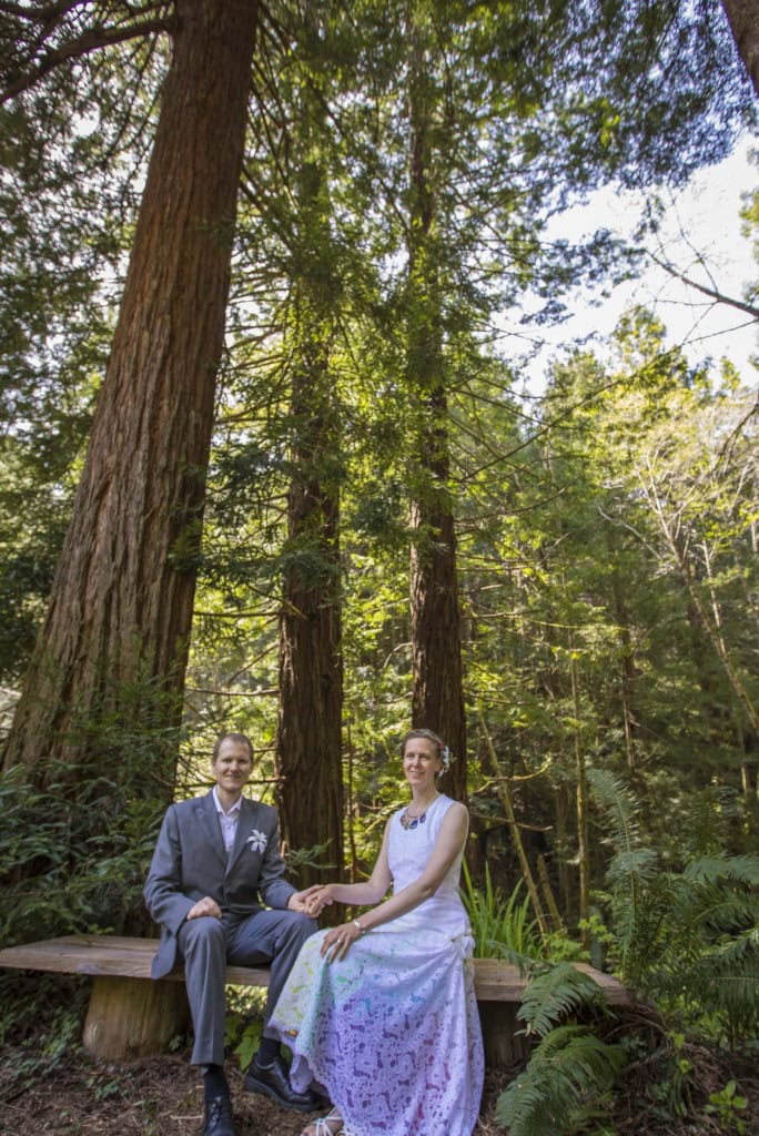 Bride and groom sitting hand in hand on a wooden bench beneath very tall conifer trees and ferns.