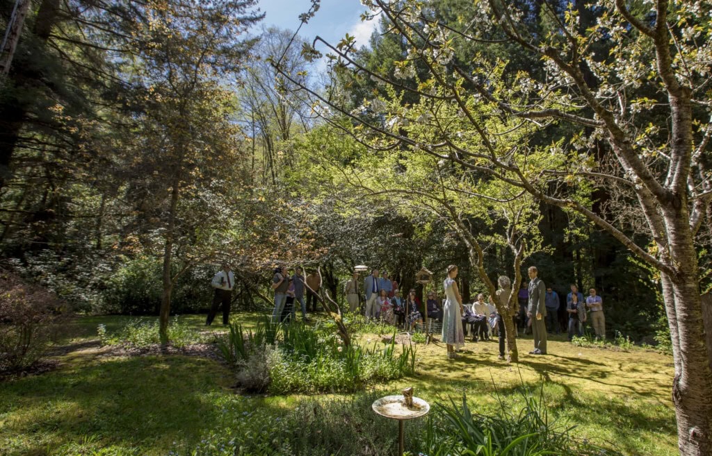 Small outdoor wedding ceremony with guests gathered on a lawn under flowering trees in dappled sunlight.