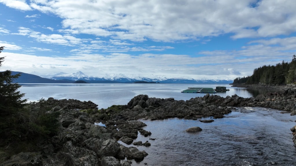 Rocky shore looking out to open water and snowy mountains