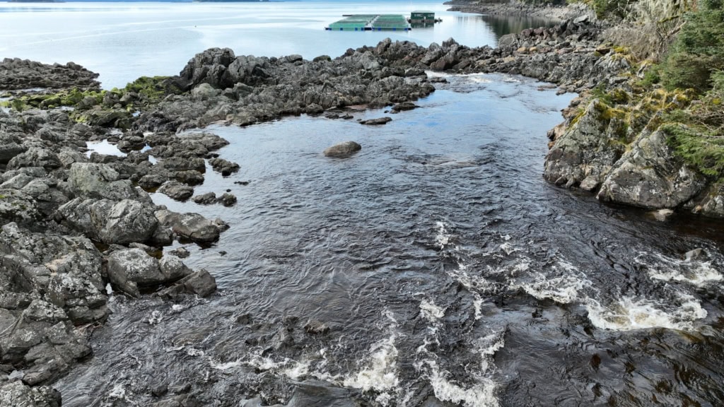 Tide pools and rocks with clear water
