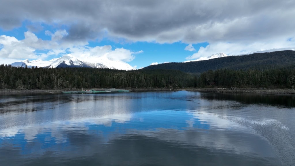 Calm harbor reflecting clouds and a forested shoreline