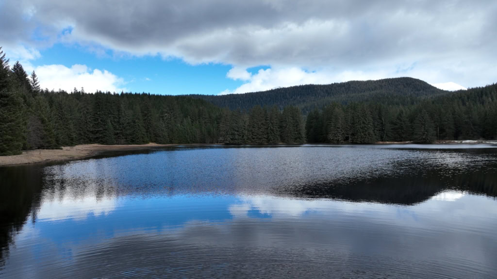 Still water reflecting the shoreline and sky