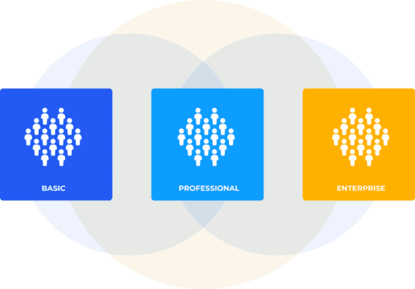 Venn diagram showing Basic, Professional, and Enterprise service levels for business solutions.