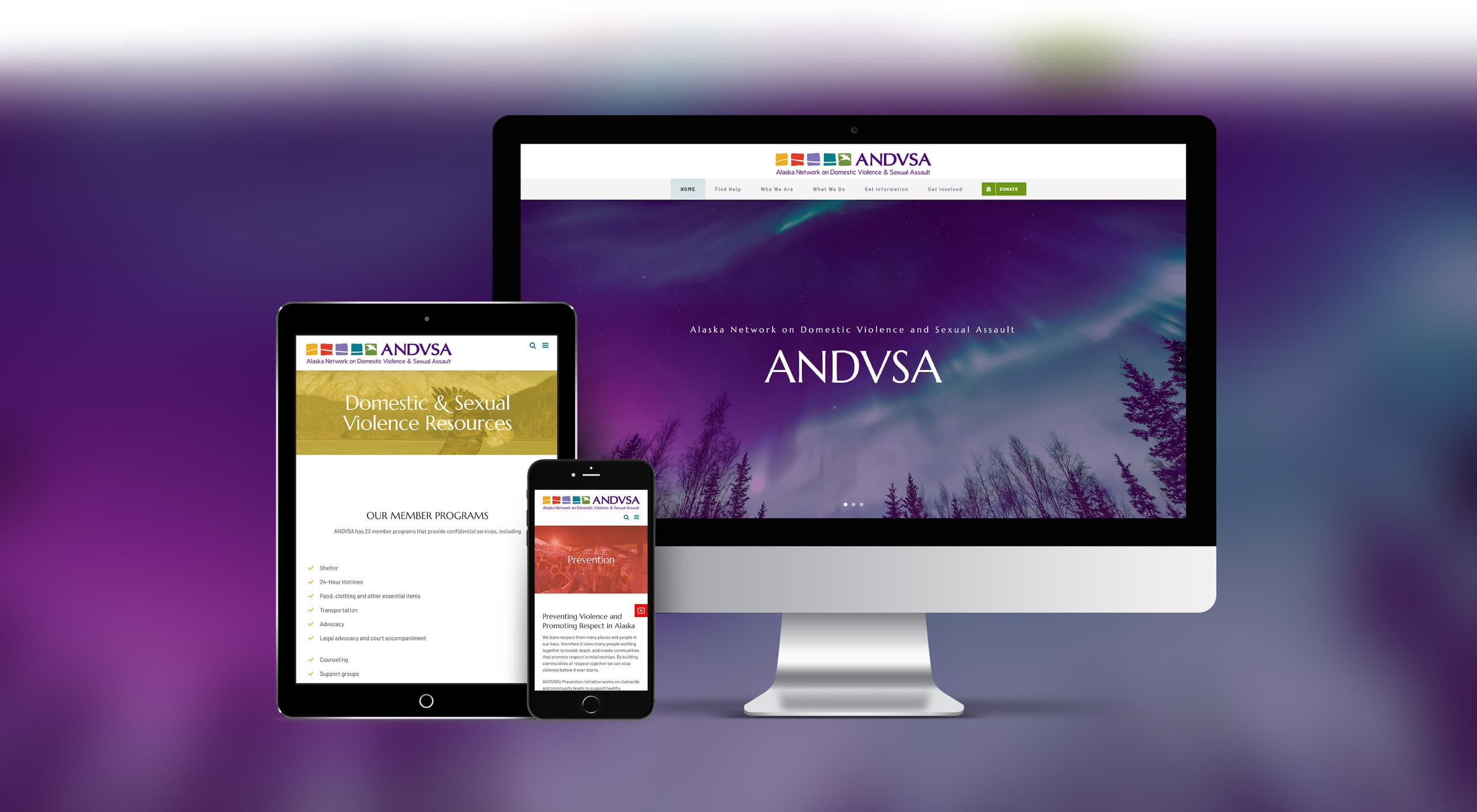 Alaska network website for domestic violence and sexual assault resources.