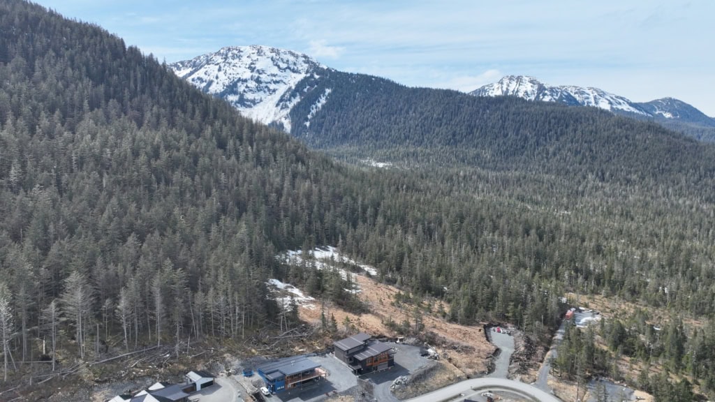 Forested valley with snowy peaks behind new homes
