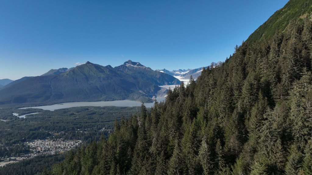 Mendenhall Glacier and lake seen from a forested mountainside