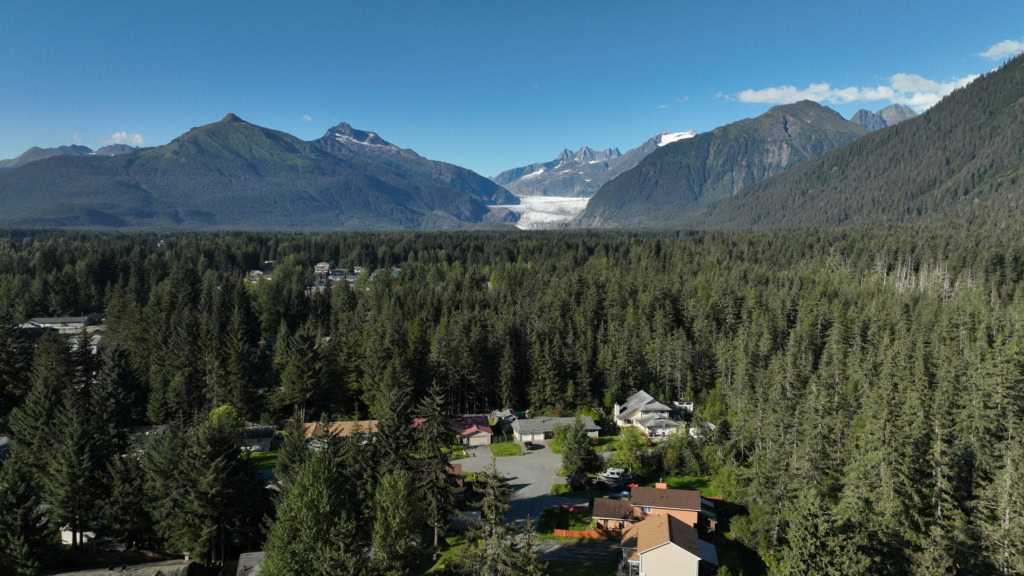 Houses in a forested neighborhood with the glacier beyond