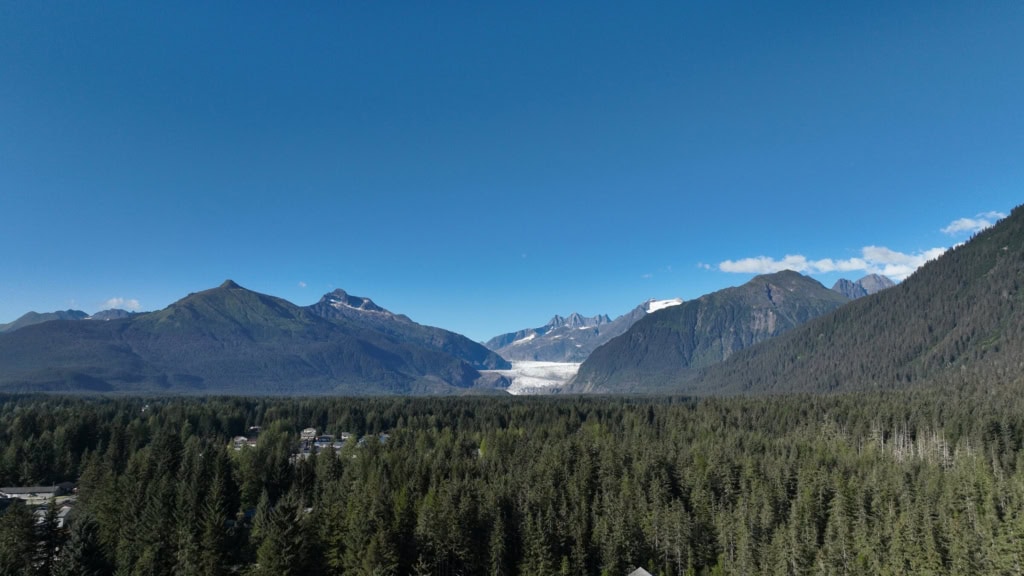 Evergreen forest with mountains and the glacier ahead