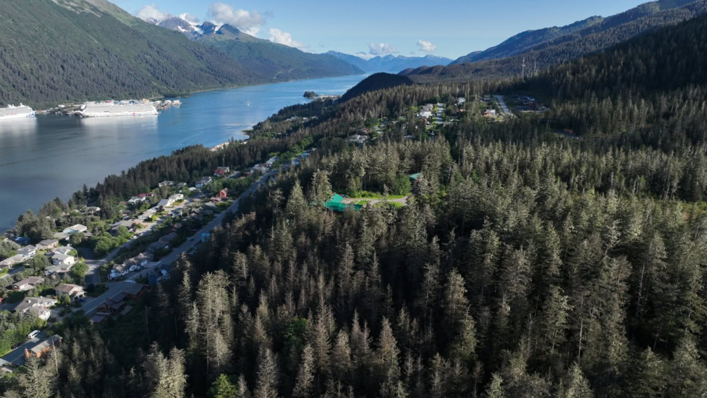 Gastineau Channel with cruise ships and forested shores