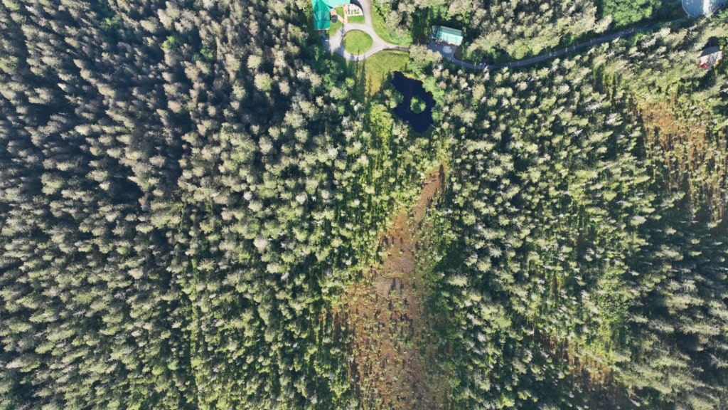 Aerial view of a forested hilltop overlooking a water channel.