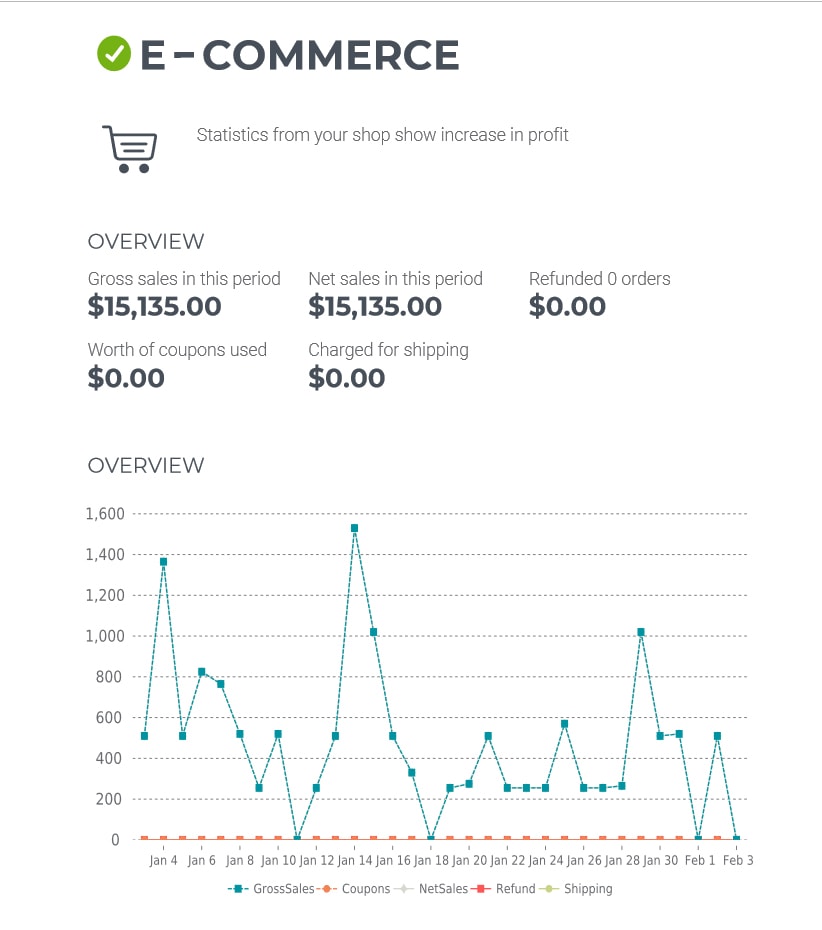 Custom Shopify ecommerce store design for small business.