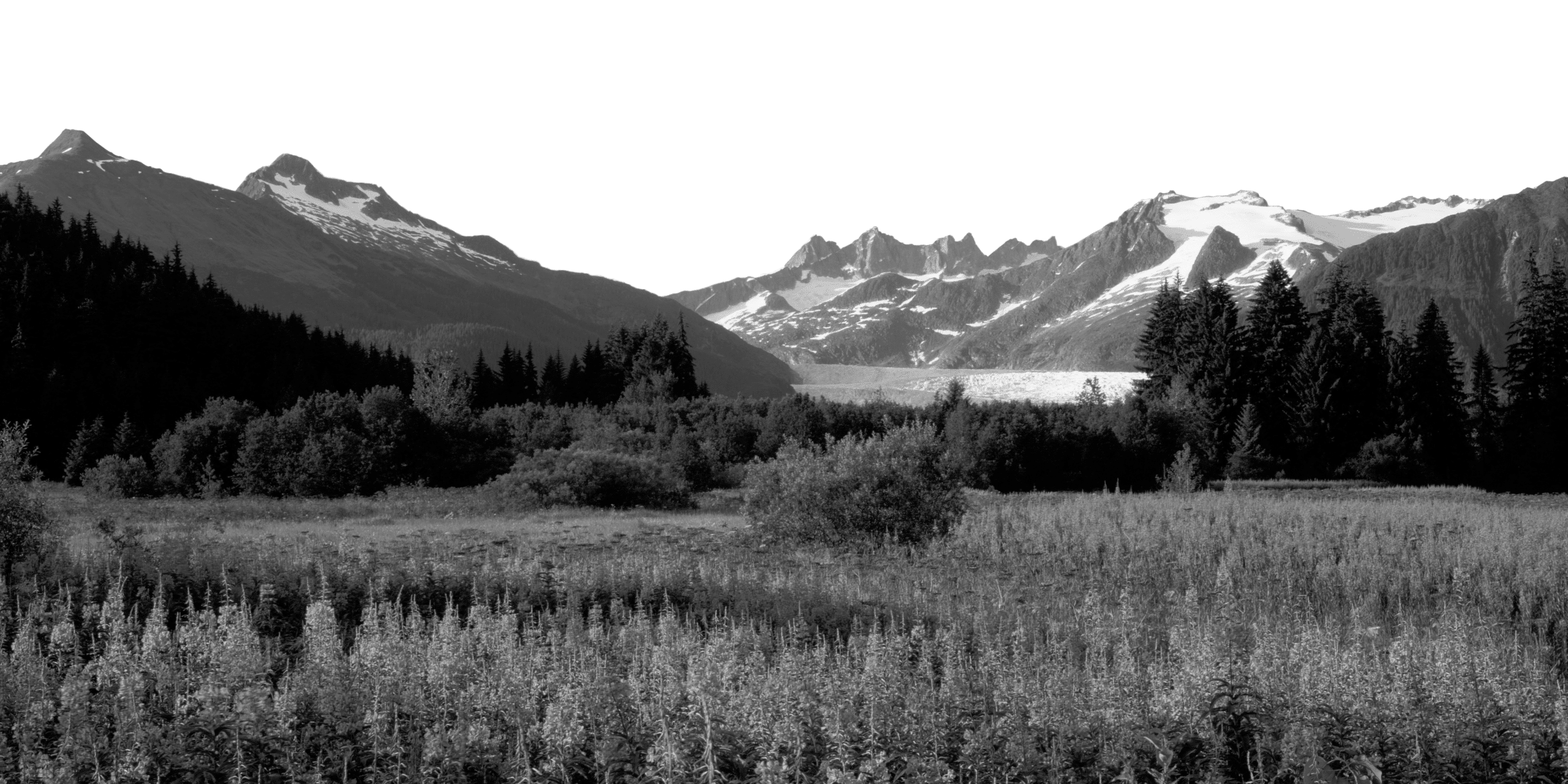 Scenic mountain landscape with snow-capped peaks, lush forests, and open meadows, perfect for nature and travel themes.