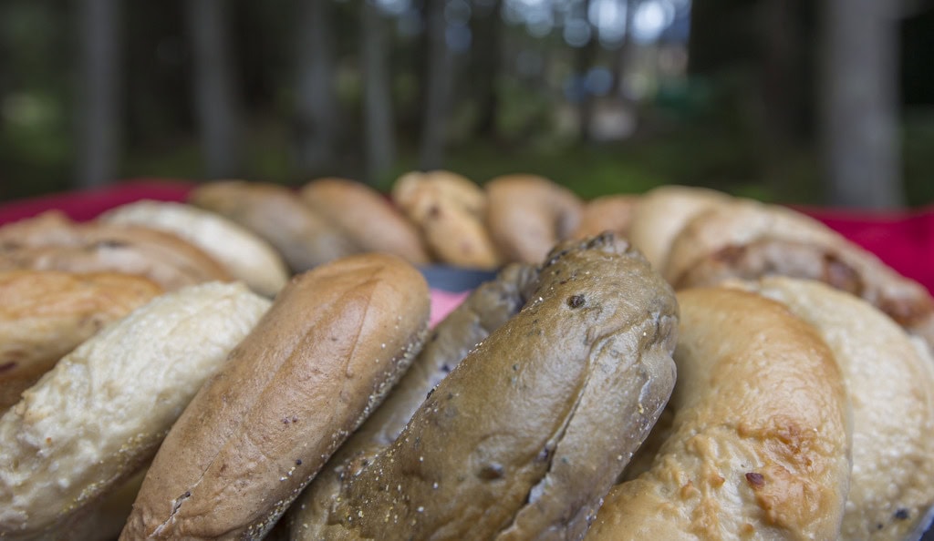 Low close-up of assorted bagels in a ring on a red table, forest blurred in the background.