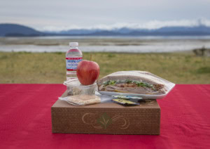 Boxed lunch with a wrapped sandwich, red apple, bottled water and a side on a red table by the water.