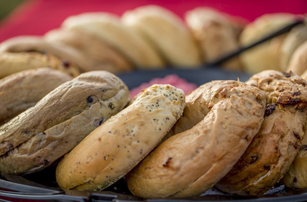 Close-up of blueberry, poppy seed and cranberry bagels lined up on a tray with a red background.