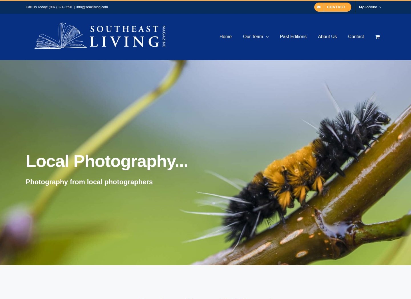 Southeast Living Magazine website