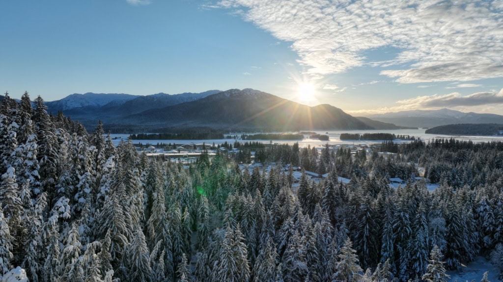 Backlit snowy forest with the sun low over the channel