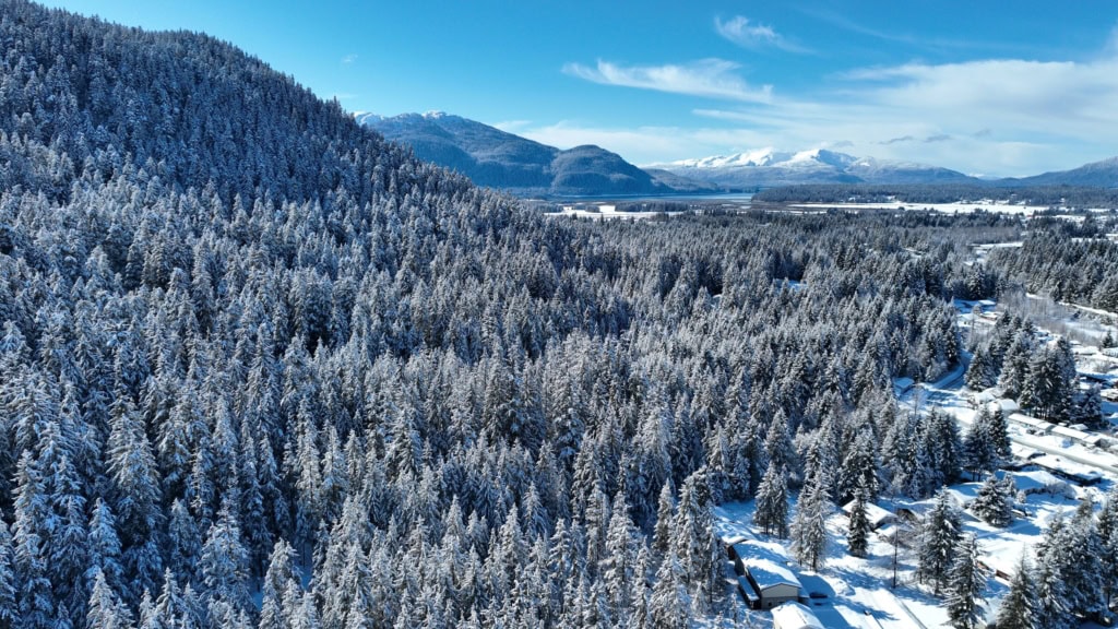 Snow-covered forest stretching to Auke Bay and distant mountains