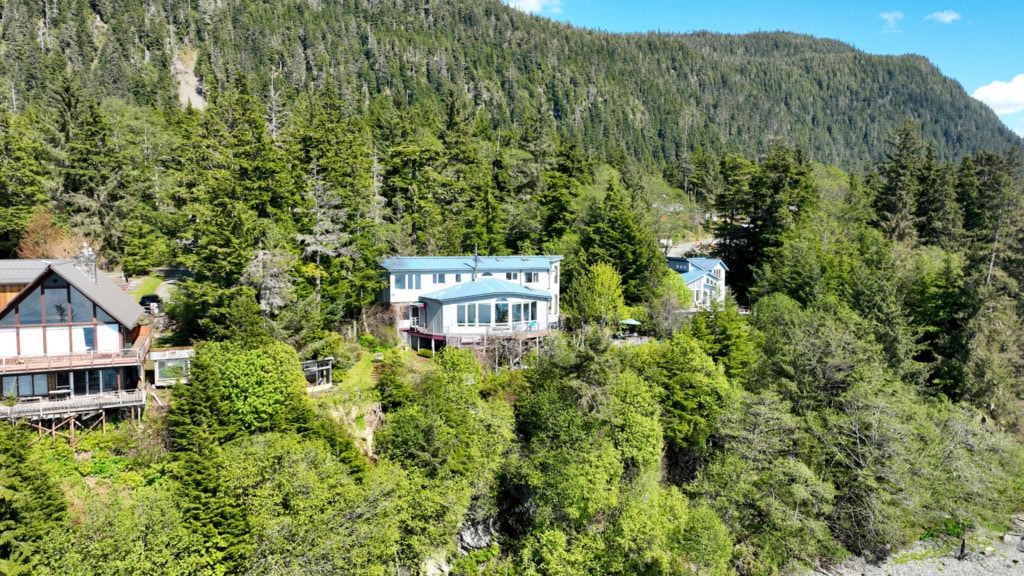 Houses among trees on a hillside above the water