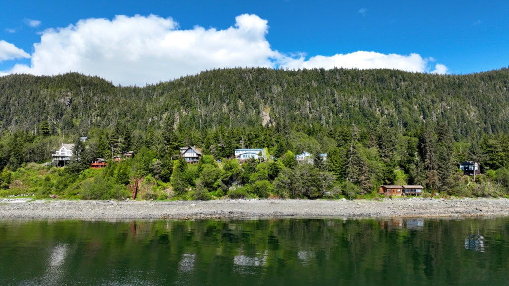 Shoreline with houses on a forested hillside, seen from the water