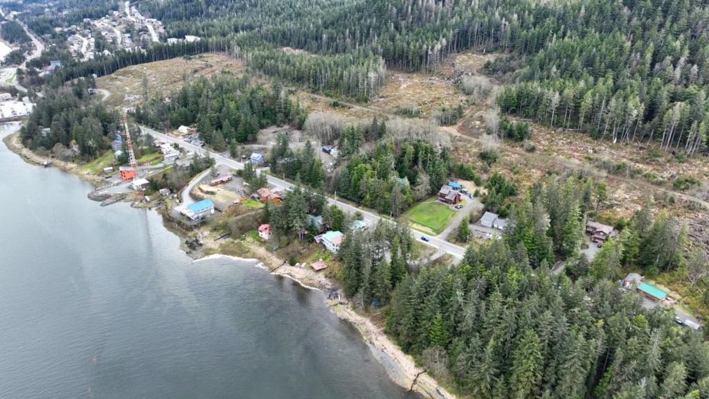 Aerial view of North Douglas shoreline with forest and residential homes.