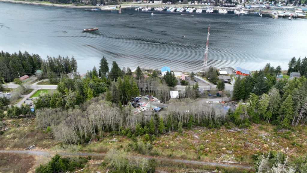 Scenic view of North Douglas shoreline with trees and water.