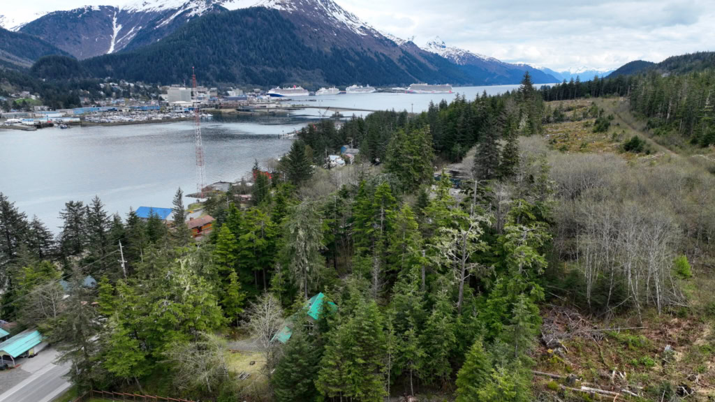 Scenic view of North Douglas shoreline with forest and mountains in the background.