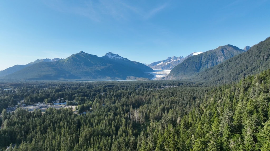 Mendenhall Glacier at the end of a forested valley under clear sky