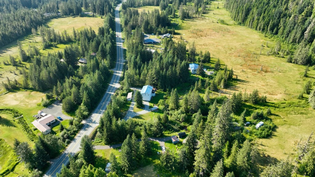 Aerial view of a road through forest beside a meadow