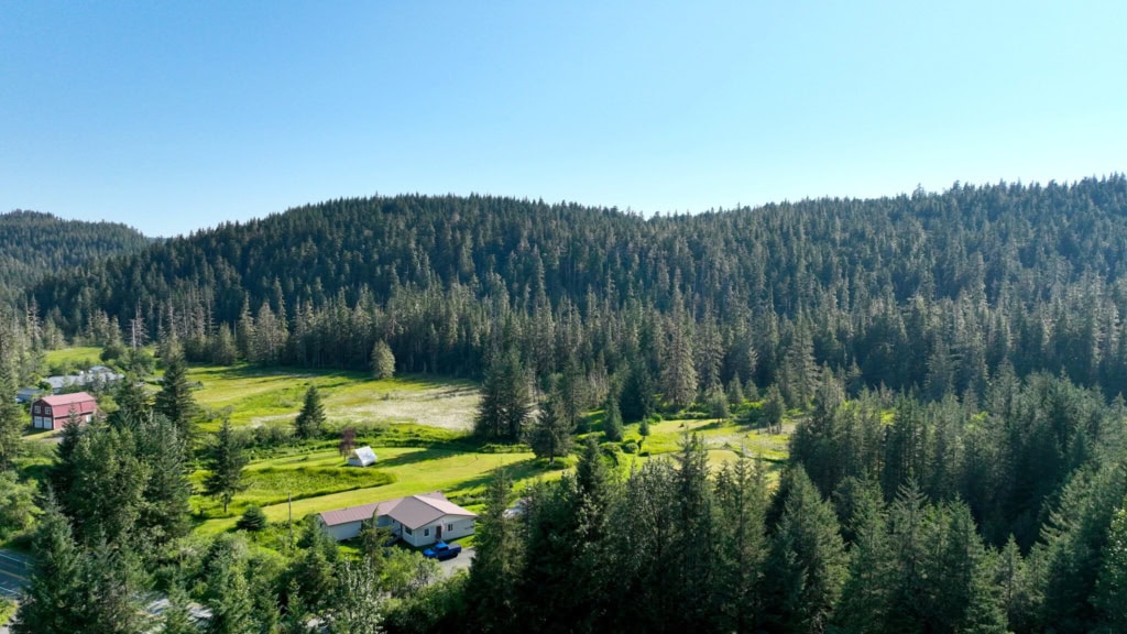 Wide view of a clearing and house surrounded by forest