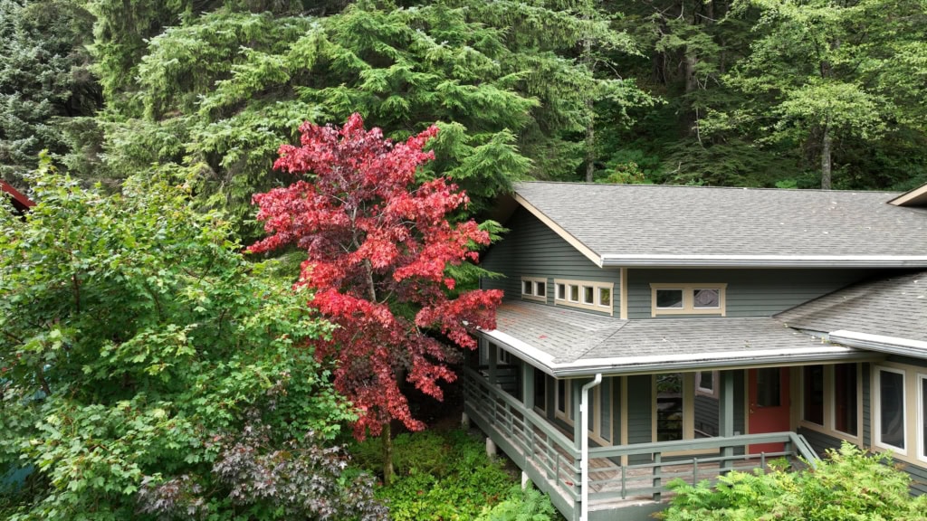 A gray two-story house with a red Japanese maple
