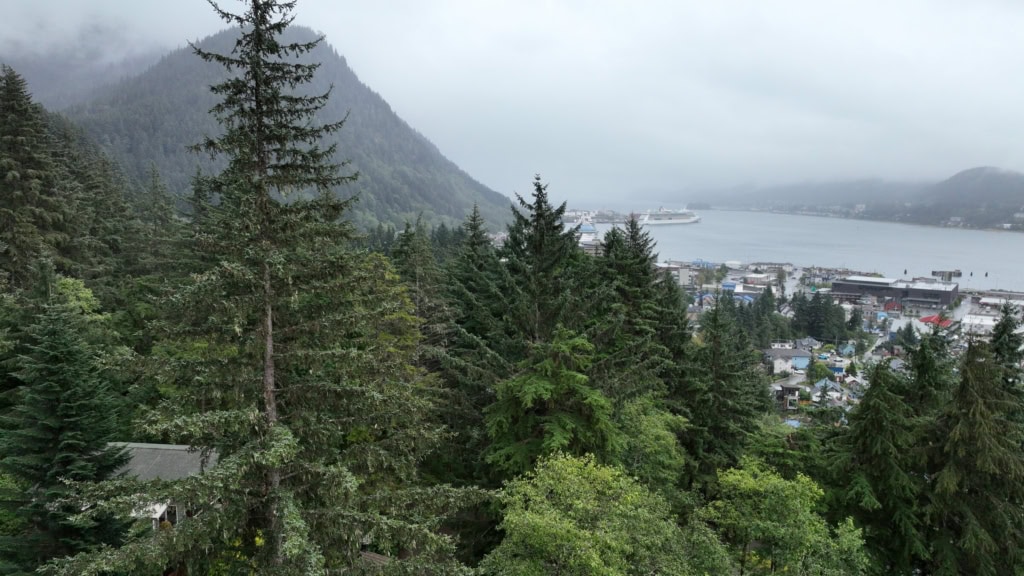View over trees to downtown Juneau and Gastineau Channel
