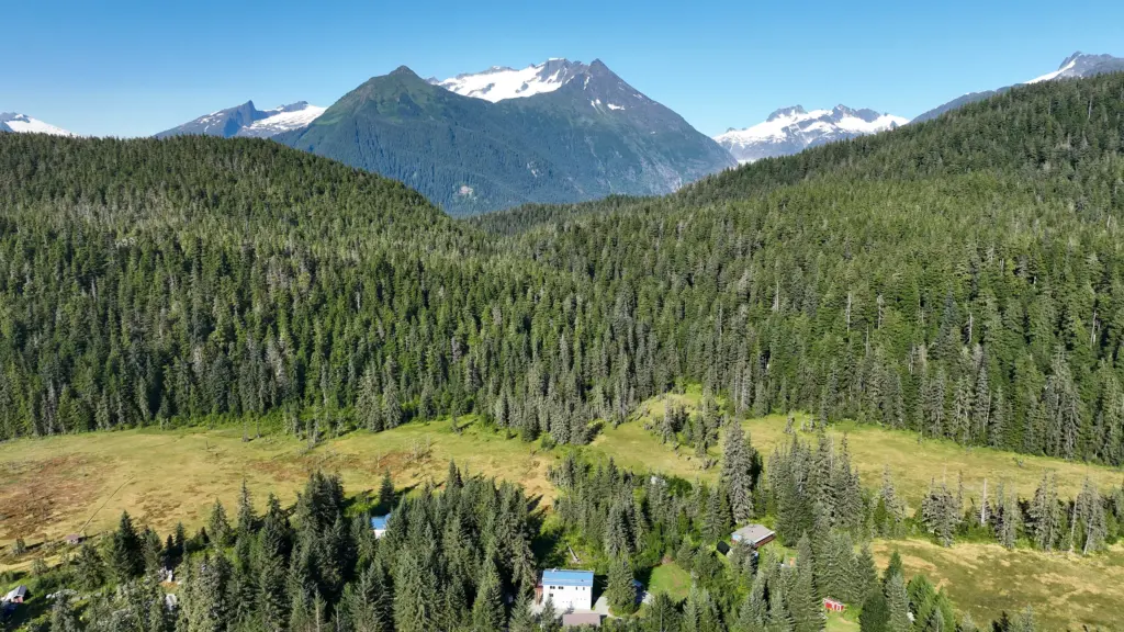 Snow-capped peaks and a glacier rising above forest and open meadows north of Juneau, Alaska