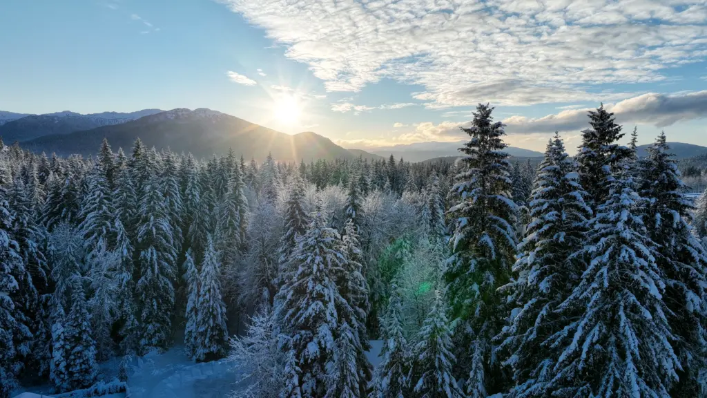 Low winter sun rising over a mountain ridge behind snow-laden spruce and frosted trees near Juneau, Alaska