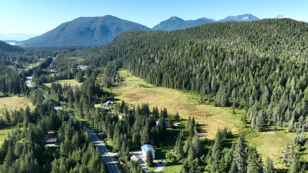 A winding road through meadows and spruce forest with homes tucked in the trees and mountains beyond