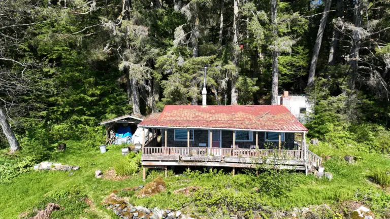 Beachfront cabin