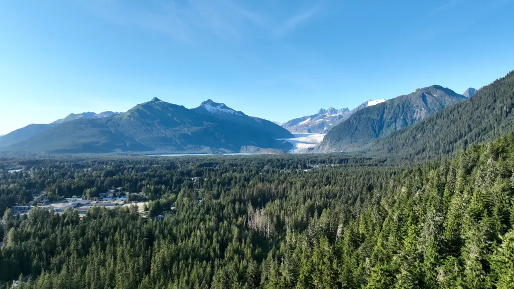 Evergreen rainforest stretching across the Mendenhall Valley to Mendenhall Glacier and surrounding peaks
