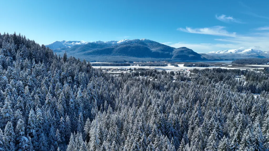 Snow-covered forest and valley stretching toward mountains and water on a clear winter day