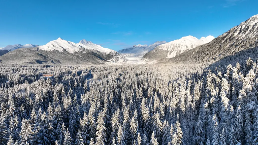 Aerial view across a snow-covered forest to Mendenhall Glacier and snowy mountains under clear blue sky