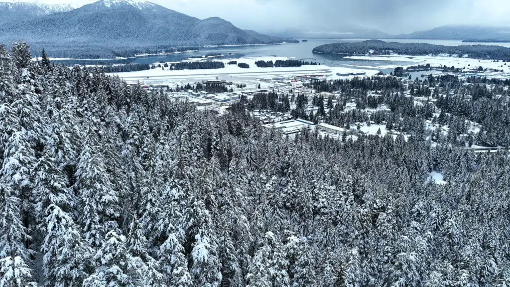 Snow-covered forest and neighborhoods leading to the channel, wetlands and mountains