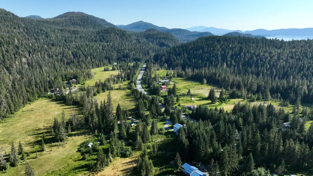 Rural homes scattered through green meadows and spruce forest with distant islands and water