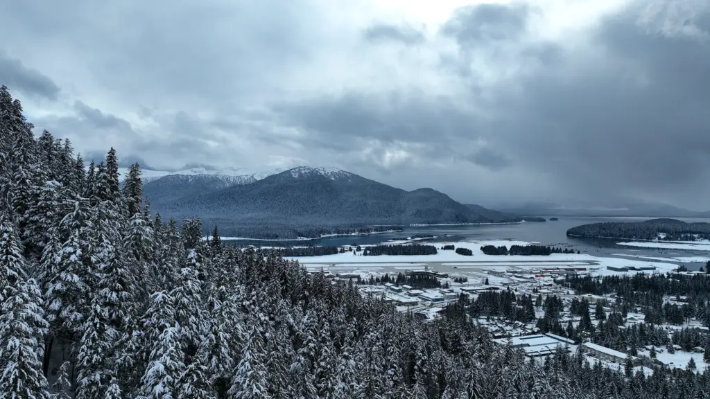 A steep snowy forested mountain with the channel and wetlands in the distance