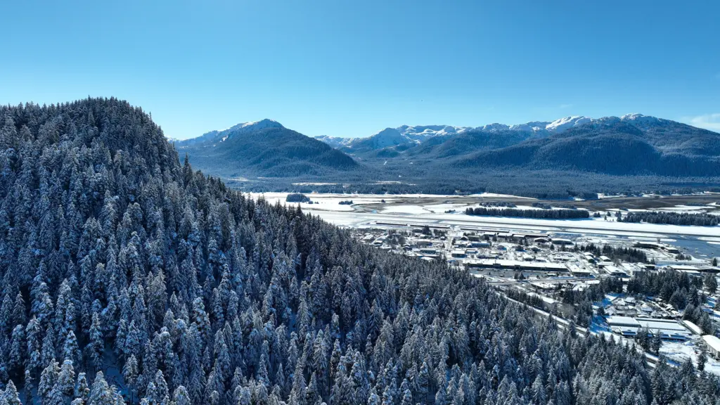 A forested ridge falling away to the snowy valley, airport and mountains
