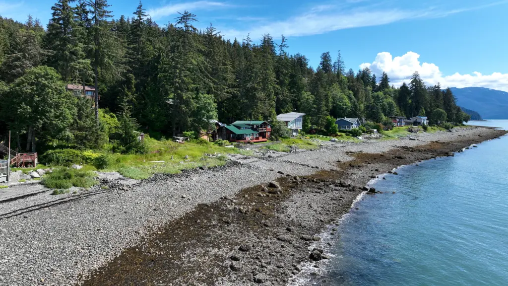 A row of beach homes below tall spruce along a rocky low-tide shoreline and calm water